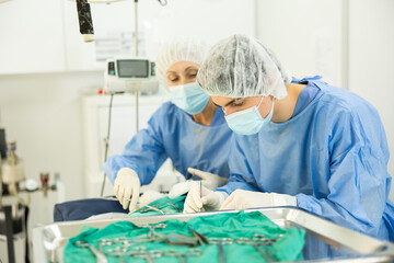 In veterinary clinic, mature female doctor provides surgical operation with male assistant help,...