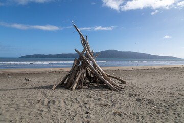 Driftwood sculpture on Paraparaumu Beach, Paraparaumu, Wellington, New Zealand.