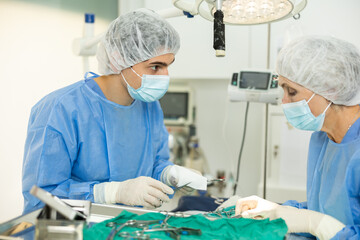 Concentrated young male veterinarian assisting senior female colleague during surgery on injured...
