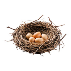 Bird's Nest with Eggs Isolated on Transparent Background
