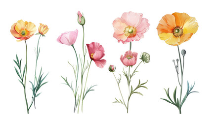 A bunch of pink and yellow flower illustrations. Flower images are ready for you to use for design.
