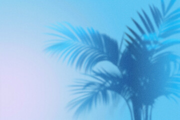 A light blue gradient background with the shadow of an abstract palm tree in a minimalistic style with negative space.