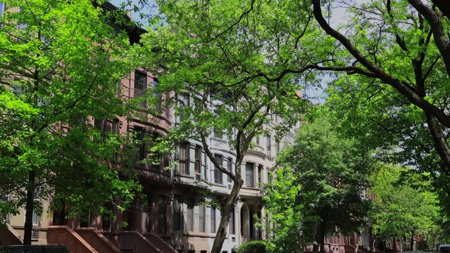 NEW YORK, NEW YORK, USA - MAY 8 2023: Rows of fresh green trees grow along row of Apartment building in Central Park West Historic District during spring season at Upper West Side Manhattan in New Yor