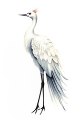 Fototapeta premium Cute watercolor illustration of a crane animal white bird