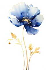 Indigo poppy painting blossom flower.