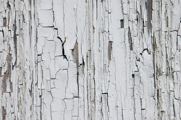 Peeling paint reveals weathered boards, telling tales of time and character