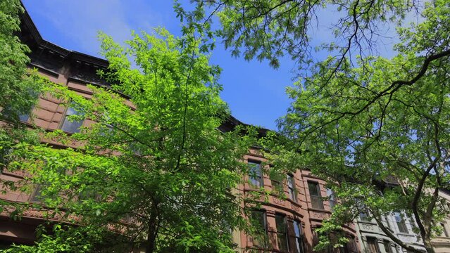 NEW YORK, NEW YORK, USA - MAY 8 2023: Rows of fresh green trees grow along row of Apartment buildings in Central Park West Historic District during spring season at Upper West Side Manhattan in New 