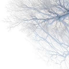 Ethereal Snowy Landscape with Hyperrealistic Tree Branches and Shadows