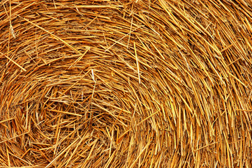 A straw bale detail: rustic, eco-friendly building material, offering insulation, sustainability, and natural charm to structures.