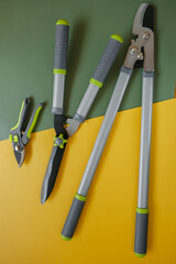 Secateurs, loppers and hedge trimmers on a yellow-green background.Garden equipment . Tools for...