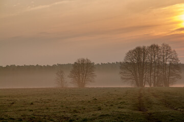 Early morning in Elbe-Havel-Land, Germany, unveils tranquil landscapes painted with soft hues, as mist gently rises over the meandering river.