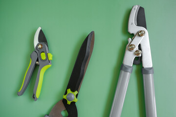  Pruning Tool. Secateurs, loppers and hedge trimmers on a green combined background.Garden equipment and tools. Tools for pruning and trimming plants. - 795850693