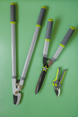  Secateurs, loppers, and hedge trimmers.Garden tools for topiary cutting of plants. Garden...