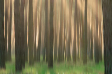 Sun rays pierce through pine forest, accentuated by vertical motion blur, evoking a mesmerizing...