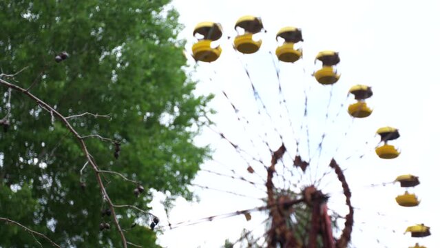 Abandoned Ferris wheel in the city of Pripyat. The whole playground was overgrown with greenery and trees. Consequences of the Chernobyl disaster.