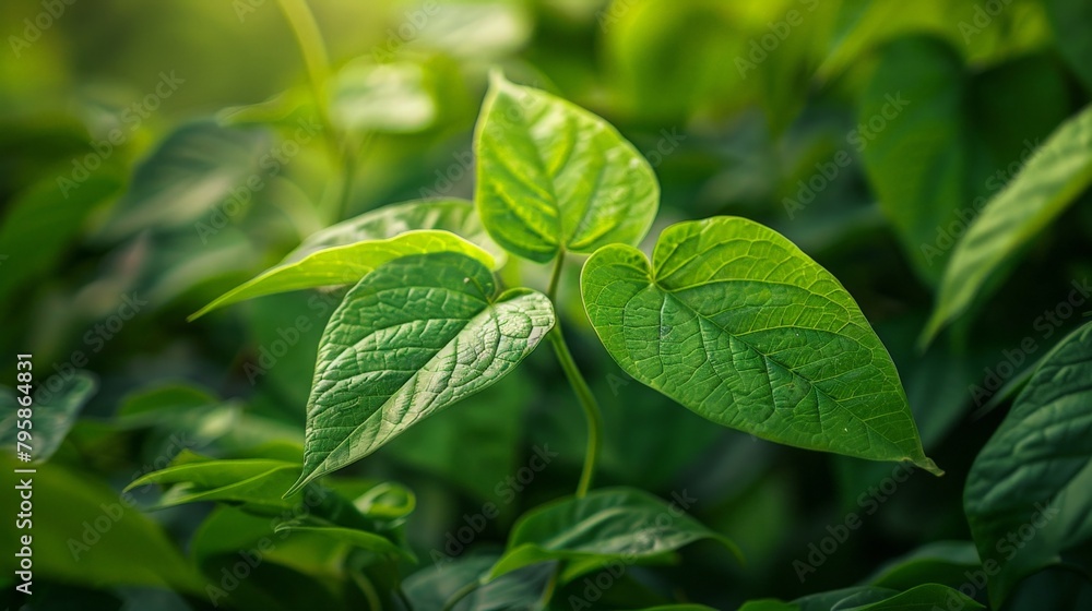 Sticker Closeup of vibrant green foliage under bright lighting