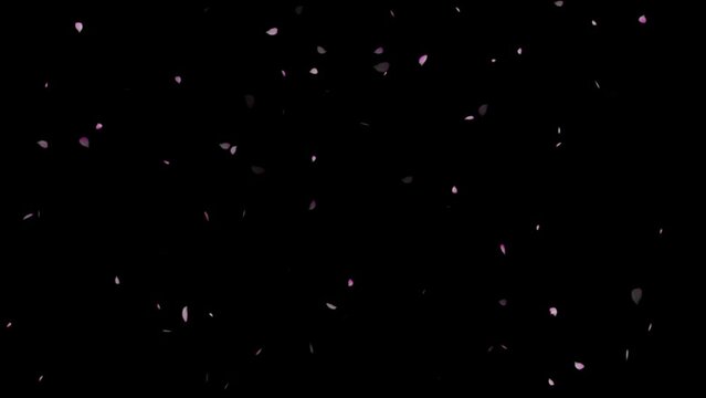 Cherry blossom realistic petals falling, This is a video clip of fluttering cherry blossom petals.
Fall start to end and seamless loop. Falling Cherry Blossoms Side Wind 4K 