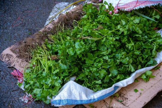 Organic fresh green selery sale in the street market, Bukittinggi, West Sumatera&nbsp;