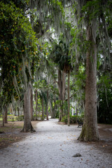 A path winds through mature trees into Kraft Azalea Gardens in Winter Park, Florida.