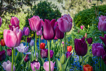 Fototapety na wymiar - Fototapeta24.pl