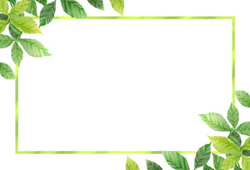 葉の装飾フレーム　葉っぱ　素材　飾り　枠　キラキラ　見出し　タイトル　表紙　囲み　シンプル　初夏　夏　サスティナブル　白背景　透過