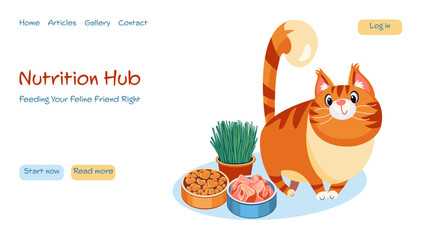 Modern vector illustration concepts for website - cat nutrition guide