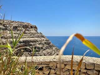 seascape of the island of malta with a view of the mediterranean sea from a rocky coast with dried...