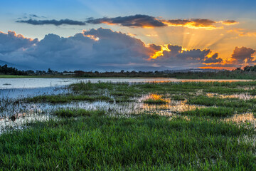 African lake, sunset in an African lake full of green grass and blue water with clouds, African...