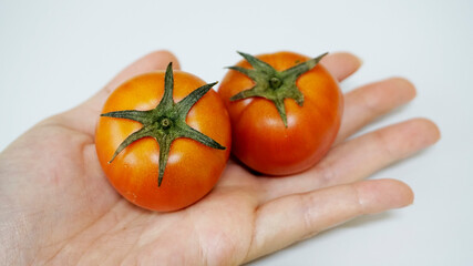 토마토 tomato red 빨 ,빨간색 레드 채소 과채류 vegetable greens veggie 그린 초록 초록색 자 nature 음식  food