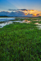African lake, sunset in an African lake full of green grass and blue water with clouds, African...