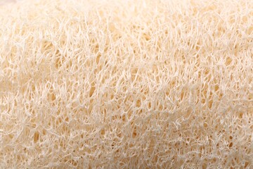 Loofah sponge as background, closeup. Personal hygiene product