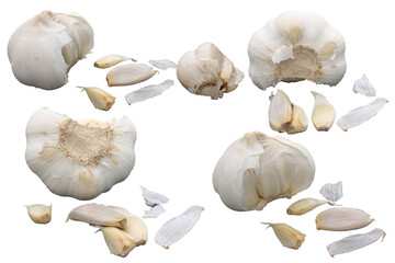Many different position of white garlic clove and bulb isolated on transparent background. Best food commercial stock photo, PNG file.