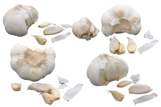 Many different position of white garlic clove and bulb isolated on transparent background. Best food commercial stock photo, PNG file.