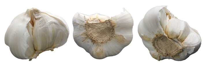 White Garlic clove and bulb isolated on white background. Commercial stock photo, PNG file.