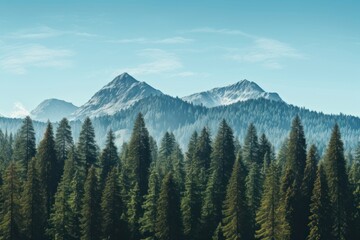 Pine trees mountain landscape outdoors.
