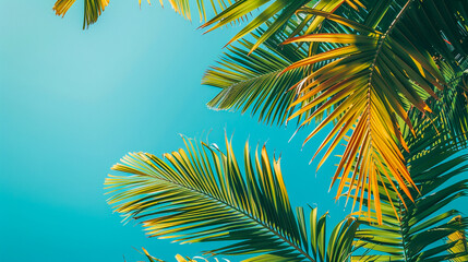 Tropical palm fronds with green and yellow hues against a bright blue sky, creating a vibrant and sunny scene. - 795903289