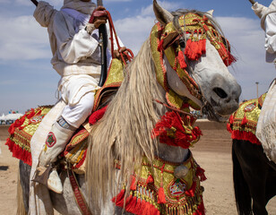 Elegance of Tbourida - Traditional Moroccan Horse and Rider in Pageantry Attire