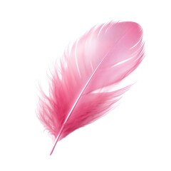elegant fluffy bird feather pink isolated on the white background