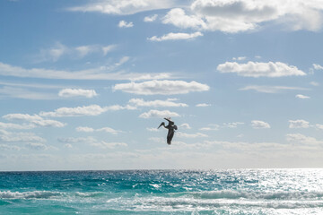 kite surfing on the beach