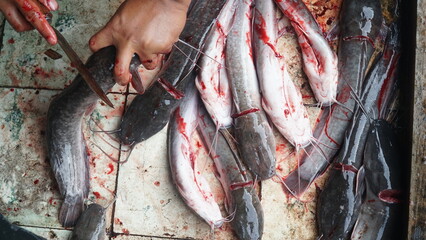 Several catfish on the tile are being sliced using a knife