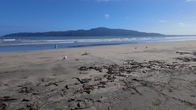 Ocean beach with a view to Kapiti Island. Paraparaumu, Wellington, New Zealand.