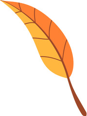 Orange leaf in Autumn
