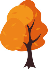 Orange trees in Autumn