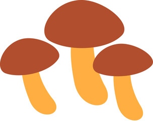 Mushroom in brown and orange  in Autumn