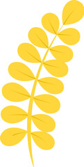 sensitive plant in yellow