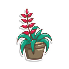 Home plant cartoon style. potted plant isolated on white