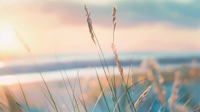 Defocused background image showcasing a charming coastal town set against a pastel sky and featuring a blurred foreground of tall grasses swaying in the gentle sea breeze. .