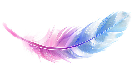 A feather in pastel colors of blue and pink on  isolated on a white background