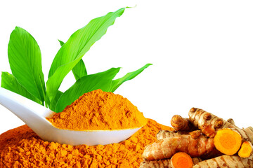 turmeric or curcumin longa root powder in spoon with leaves known in india as...