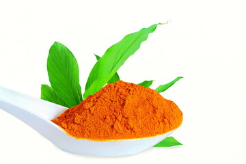 turmeric or curcumin longa root powder in spoon with leaves known in india as haldi,huldi,haldar,isolated on white background